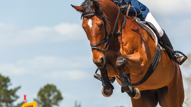Gardnertown Farm Newburgh, NY